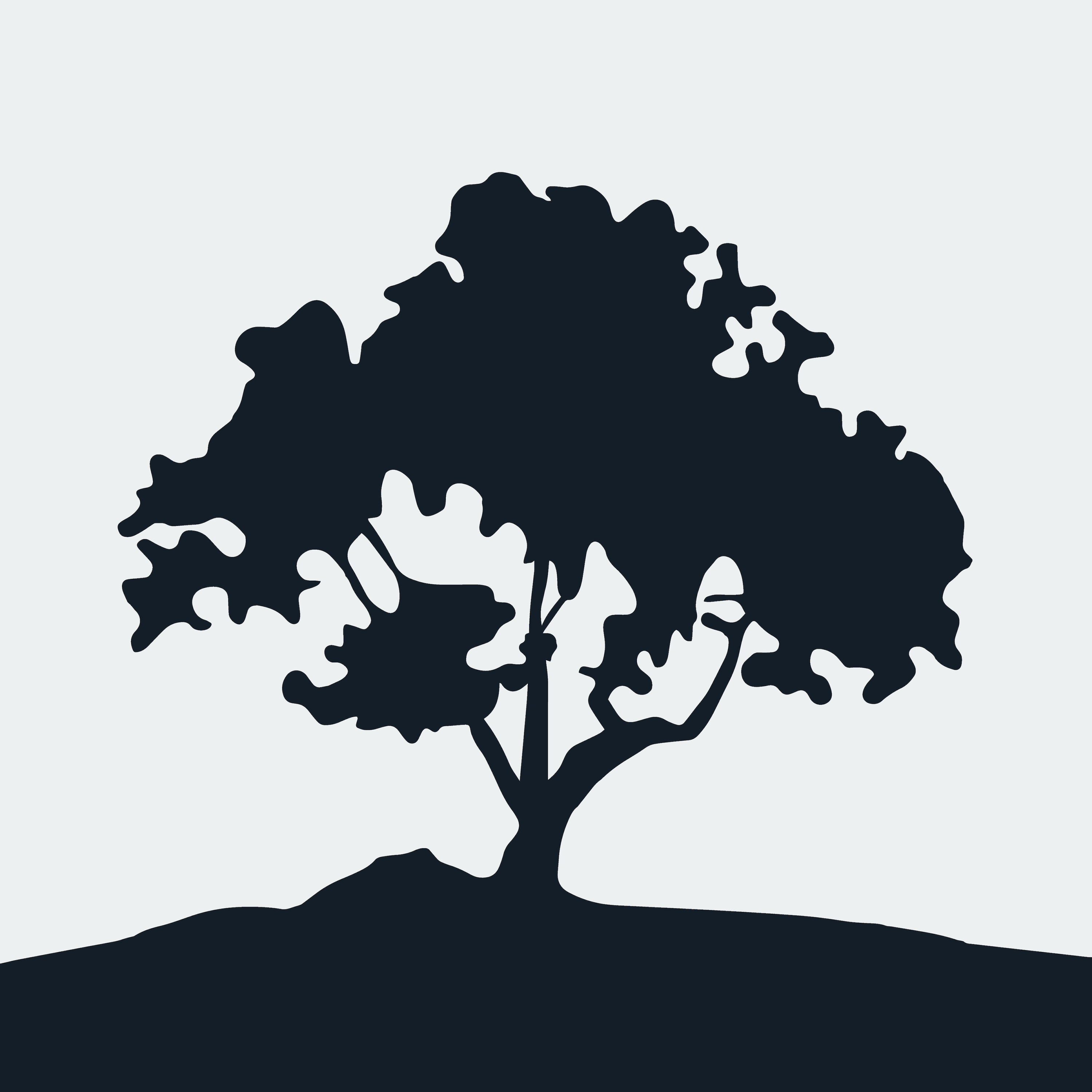 Sermons | Countryside Bible Church